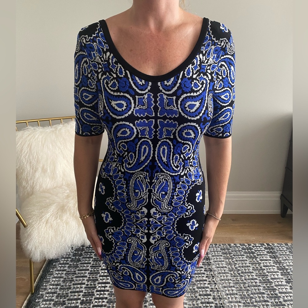 Torn by Ronny Kobo knit dress